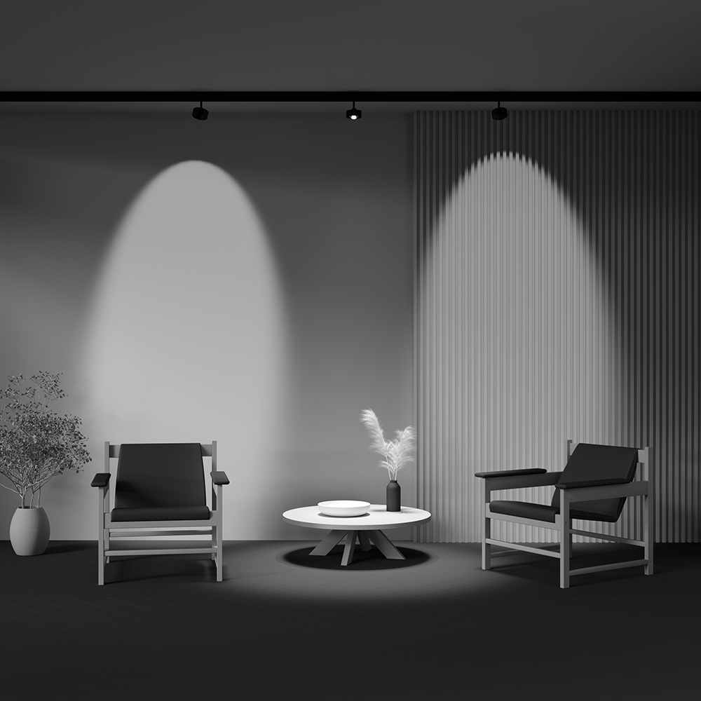 Трековый светильник-Lens TR217-2-15W4K-B