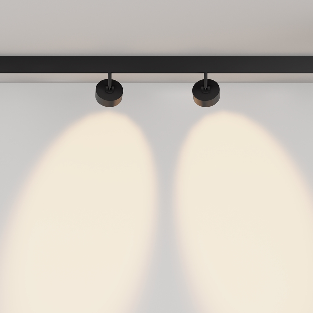 Трековый светильник-Maytoni-Lens TR217-2-15W3K-B