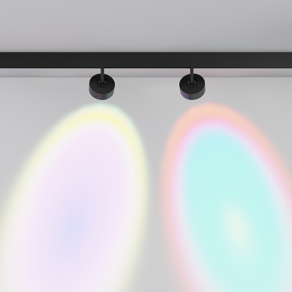 Трековый светильник Maytoni Lens-TR217-2-15W4K-B