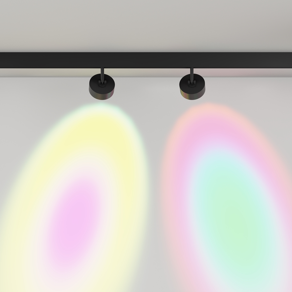 Трековый светильник Maytoni_Lens TR217-2-15W3K-B