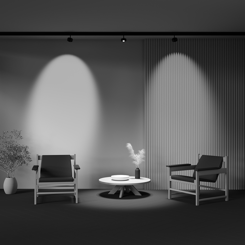 Трековый_светильник Maytoni Lens TR217-2-15W3K-B